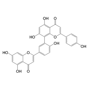 穗花杉双黄酮