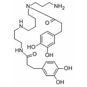 地骨皮乙素