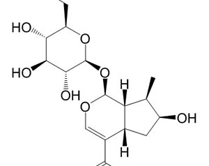 马钱苷酸