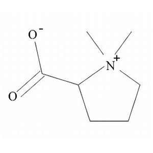 盐酸水苏碱