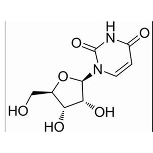 尿苷（尿嘧啶核苷）