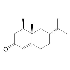 诺卡酮