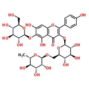 6-羟基山奈酚-3-O-芸香糖-