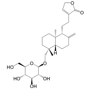 穿心莲新苷