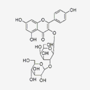 人参黄酮苷