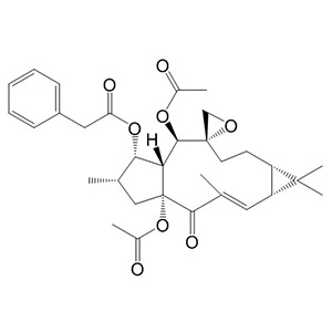 大戟因子L1