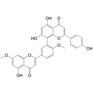 白果双黄酮