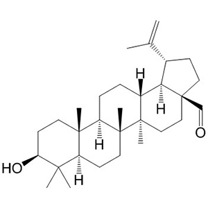 白桦脂醛