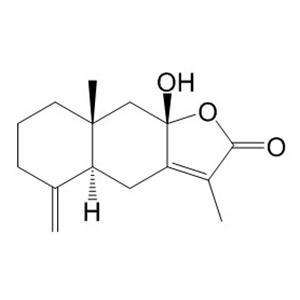 白术内酯III